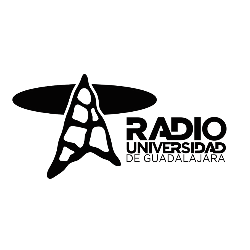 Radio UDG